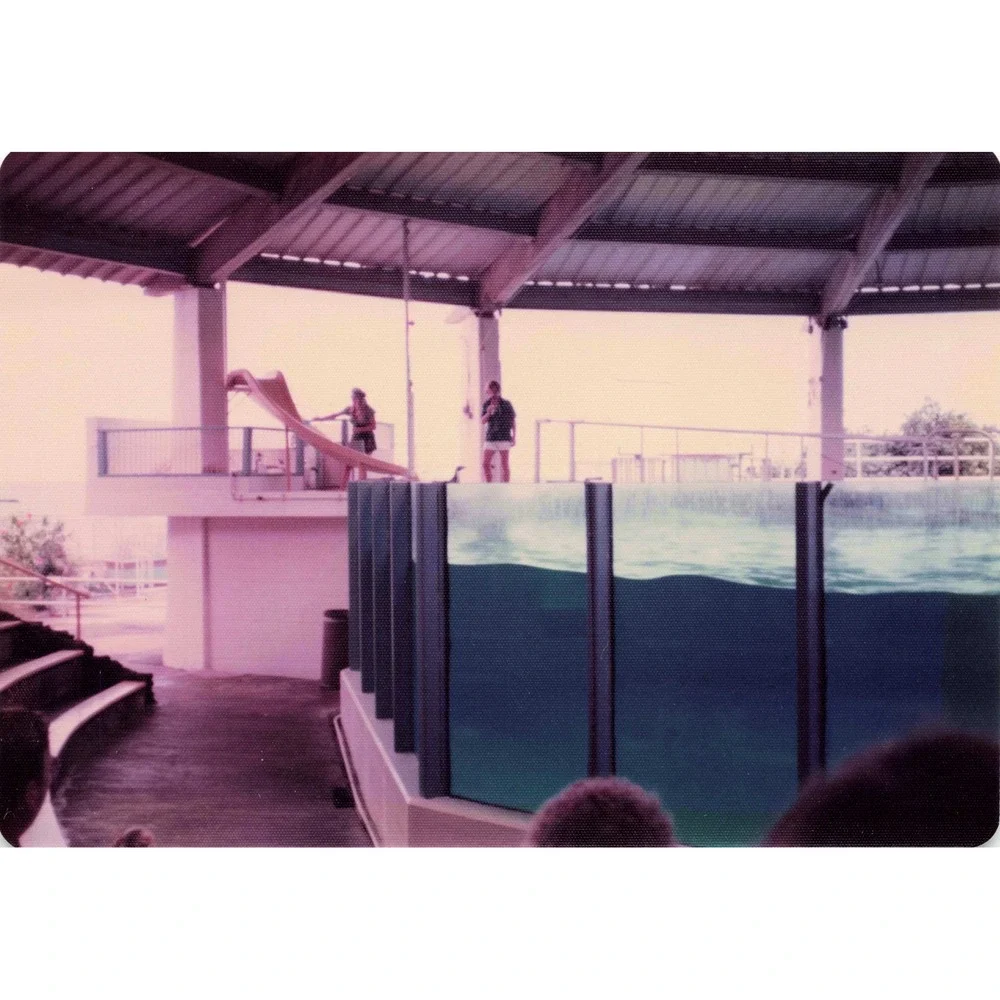 Vintage 1970s Sea Life Park Hawaii Dolphin Show Tall Ship Photo Lot of 17 - Picture 5 of 16